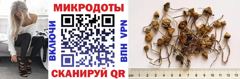 Галлюциногенные грибы мухоморы  Вельск 